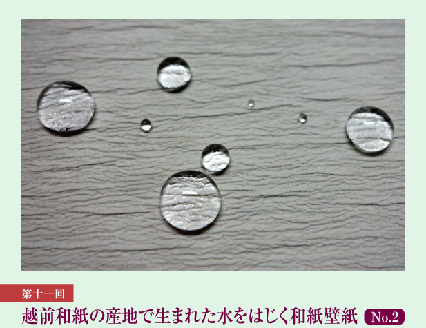 伝統のこころとわざを再発見 第11回 越前和紙の産地で生まれた水をはじく和紙壁紙 No.2