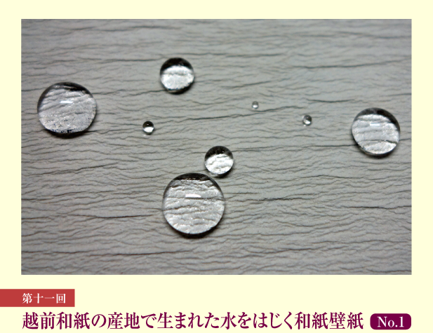 第11回 越前和紙の産地で生まれた水をはじく和紙壁紙 No.1